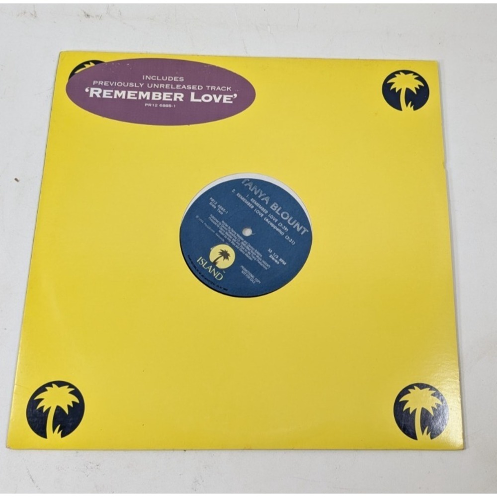 Tanya Blount Hold On Remember Love 12" Vinyl Single Promo Island PR12 6885-1